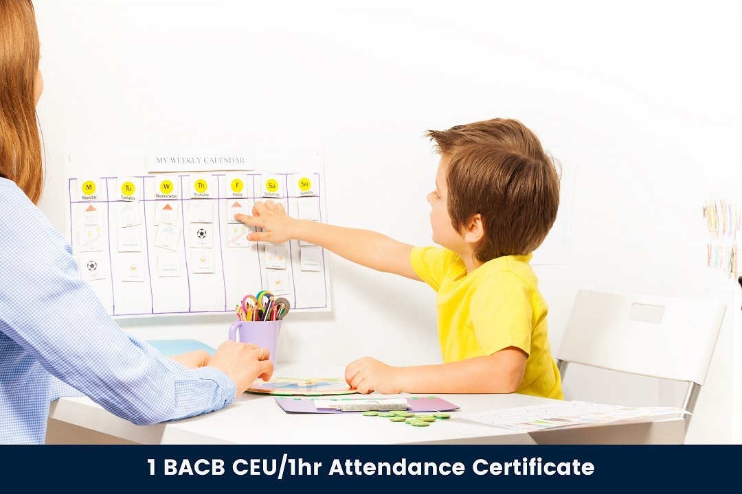 Naturalistic Developmental Behavioural Interventions (NDBIs